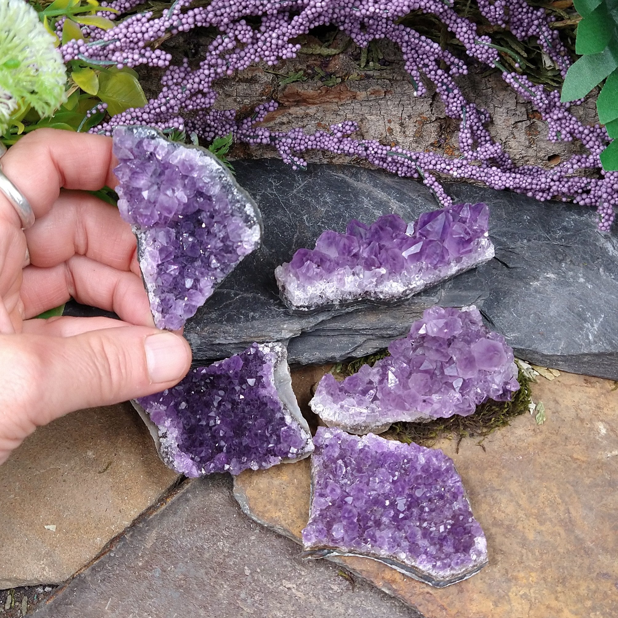 AM-2141 Small Amethyst Clusters 2-2.5in