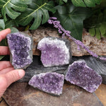 AM-2154 Amethyst Cluster 2.75-3in