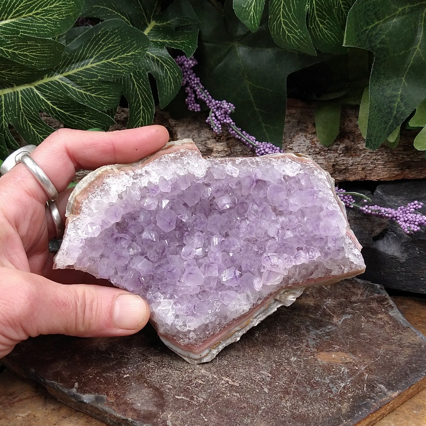 AM-2183 Amethyst Cluster