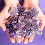 Baby Amethyst Clusters by each
