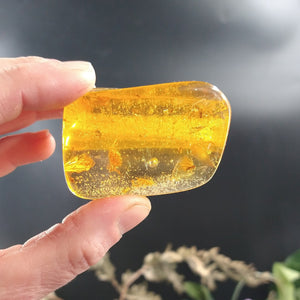 #AMB-404 Colombian Amber specimen