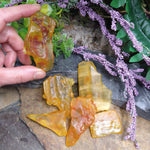 #AMB-405E Colombian Amber specimen 5g