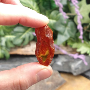 #AMB-414 Baltic Amber 2.37g