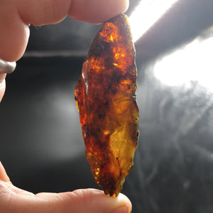 #AMB-419 Chiapas Amber