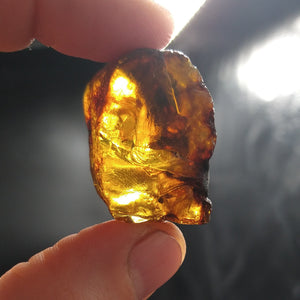 #AMB-421 Chiapas Amber