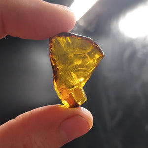 #AMB-422 Chiapas Amber