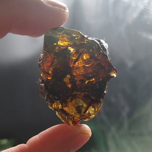 #AMB-430 Chiapas Amber