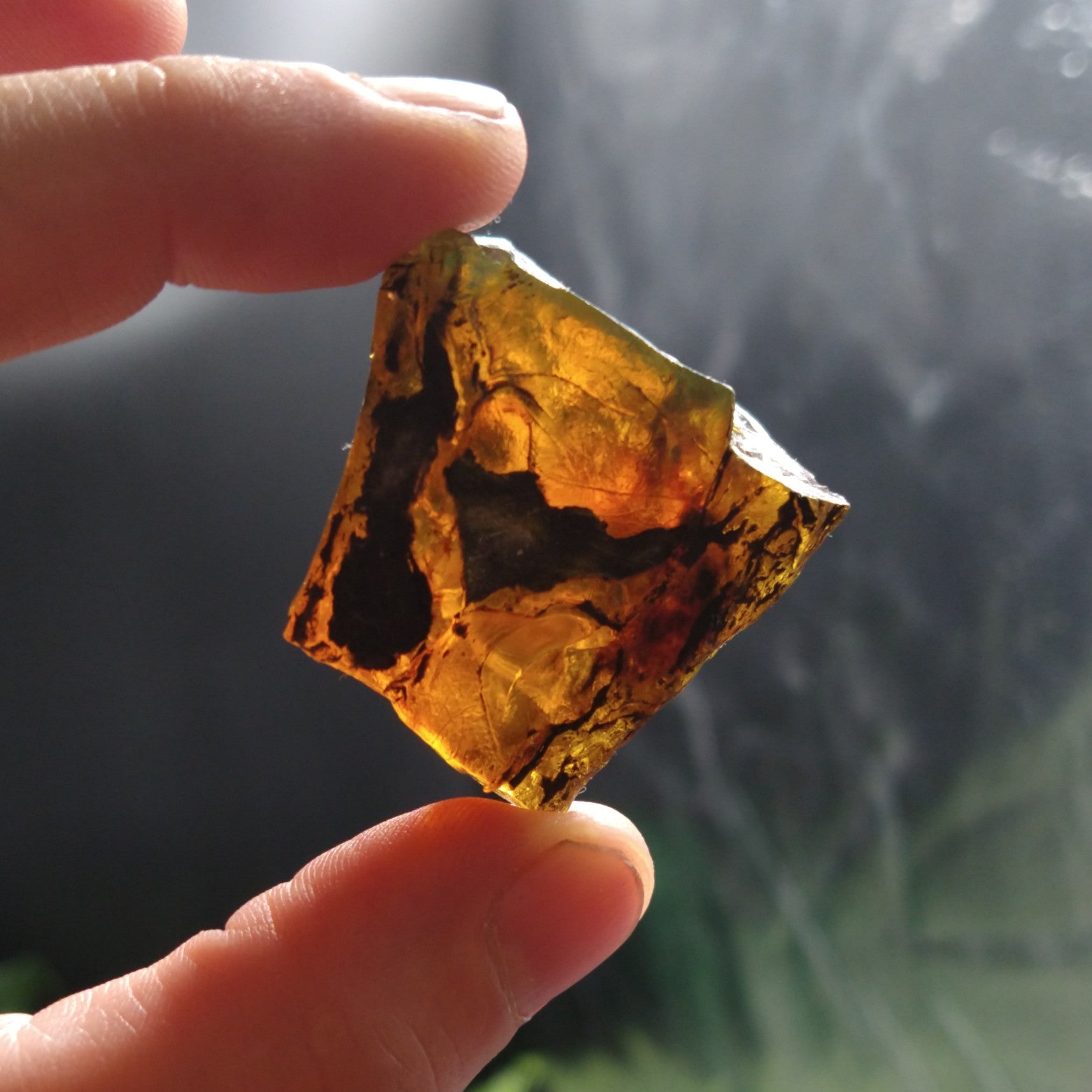 #AMB-433 Chiapas Amber