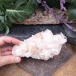 #AP-544 Apophyllite and Stilbite Specimen