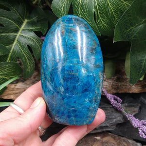 APT-177 Blue Apatite Polished Free-Form