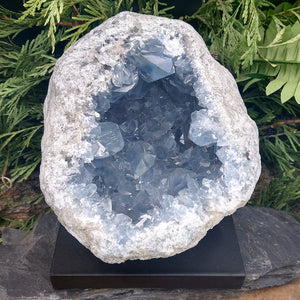 #CEL-378 Celestite Geode specimen
