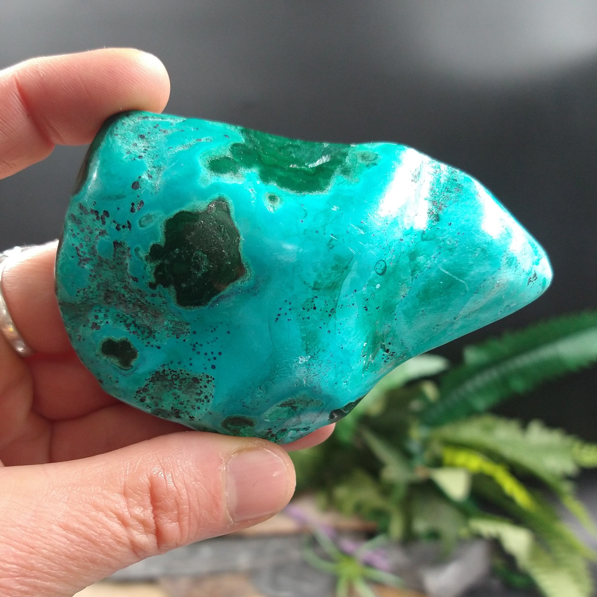 CH-159 Chrysocolla Specimen