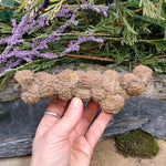 #CPL-7 Coprolite specimen