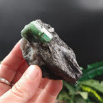 EM-381 Emerald specimen
