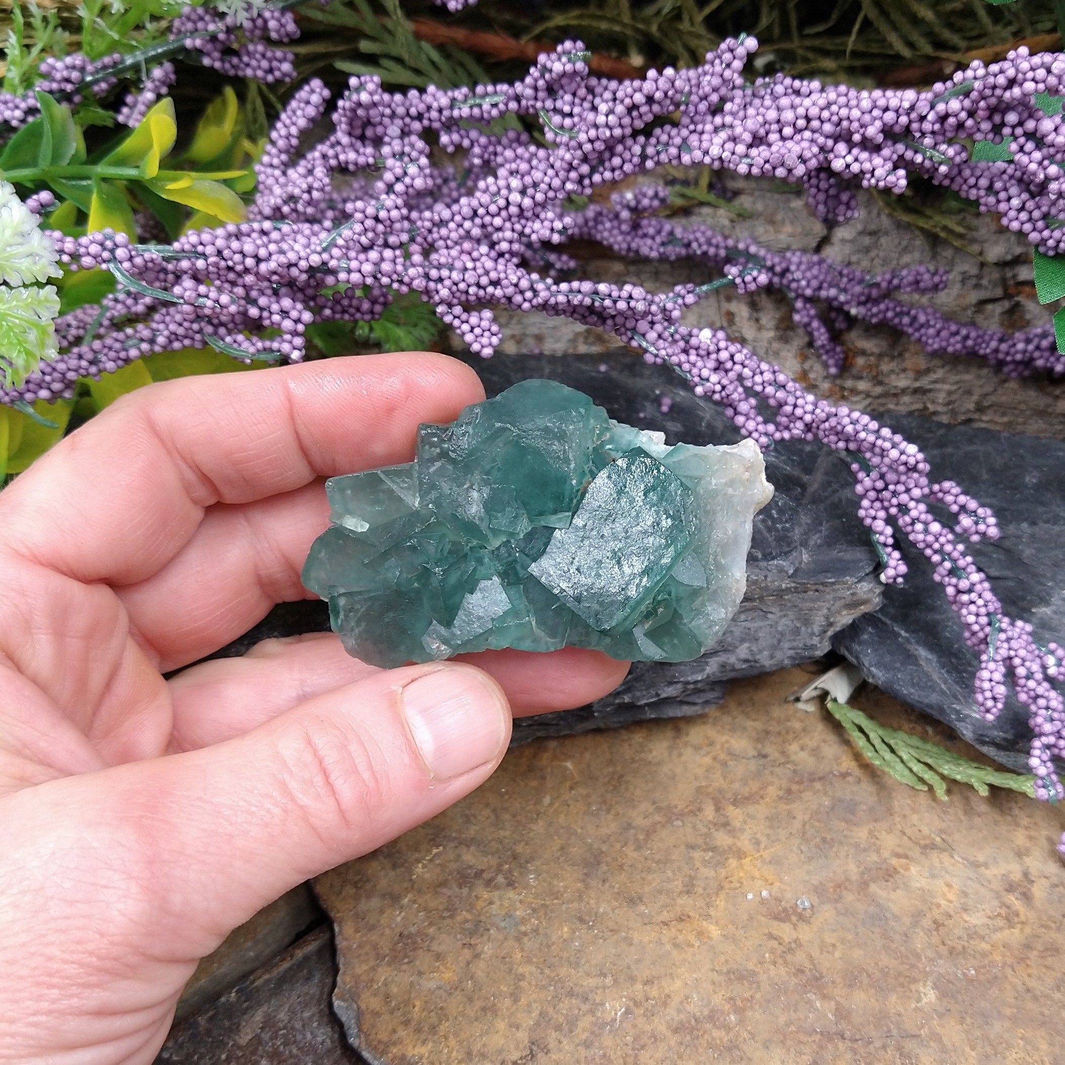 #FL-176 Fluorite Cluster