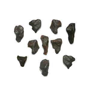 #GB-19B Small Gibeon Meteorite 4gr