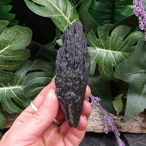 #KY-249 Black Kyanite specimen