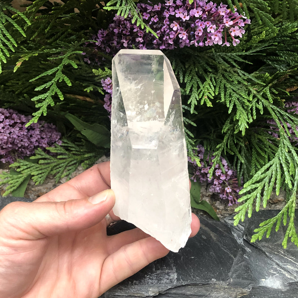 #LM-1055 Lemurian Seed Crystal