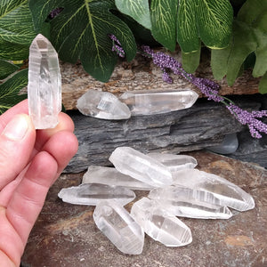LM-1096 Small Lemurian Seed Crystals 2-pack