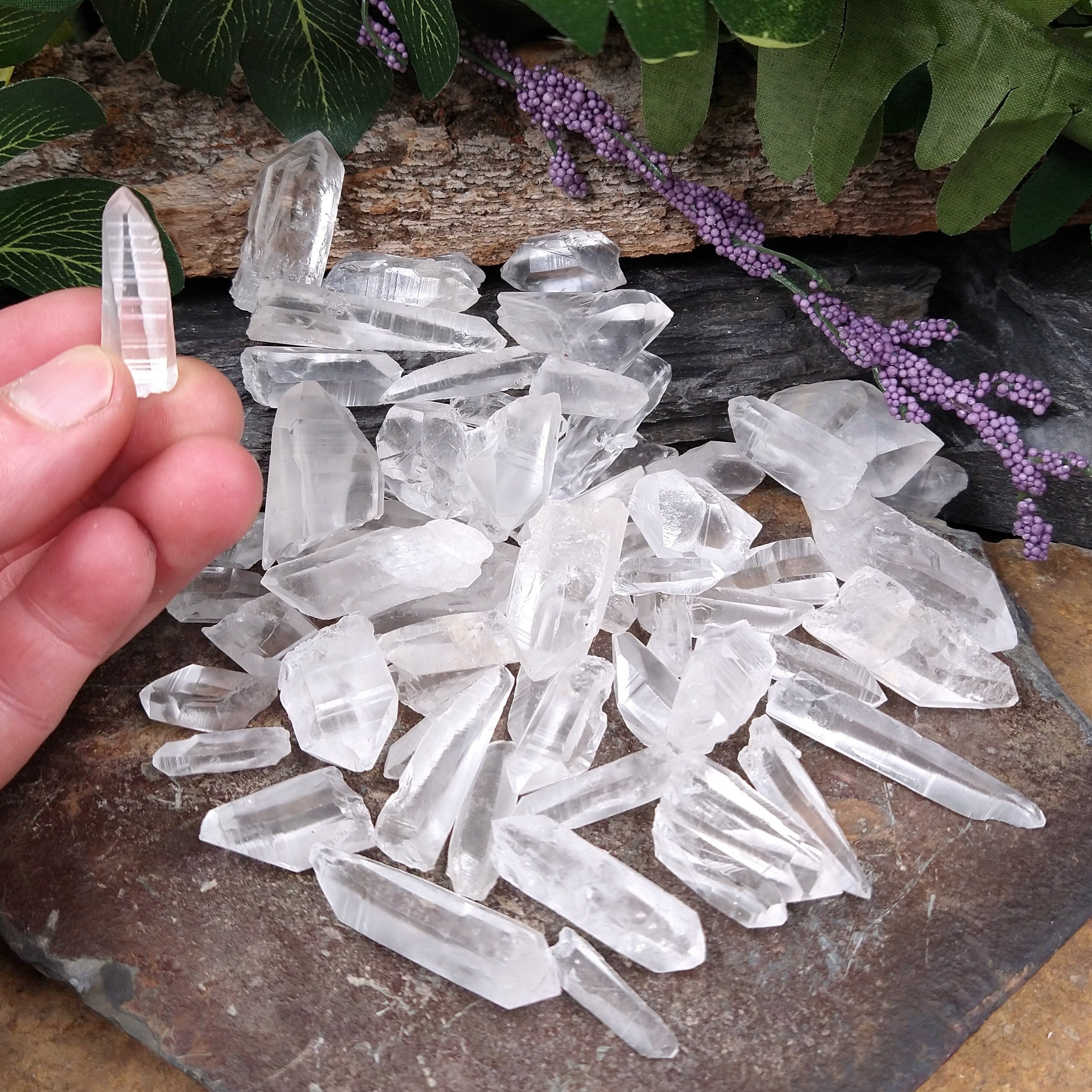 LM-1097 Baby Lemurian Seed Crystals 5-pack