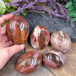 #PW-114B Petrified Wood Palm Stone