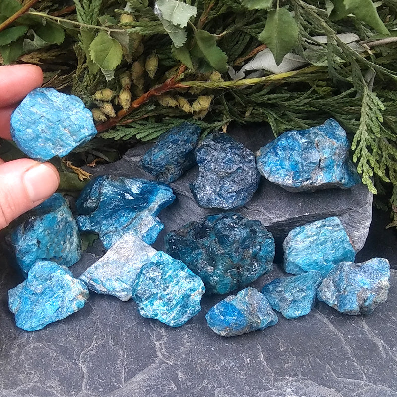 Rough Blue Apatite by pound