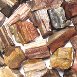 Rough Petrified Wood Material by the pound