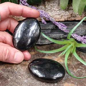 SH-46 Shungite Palm Stone