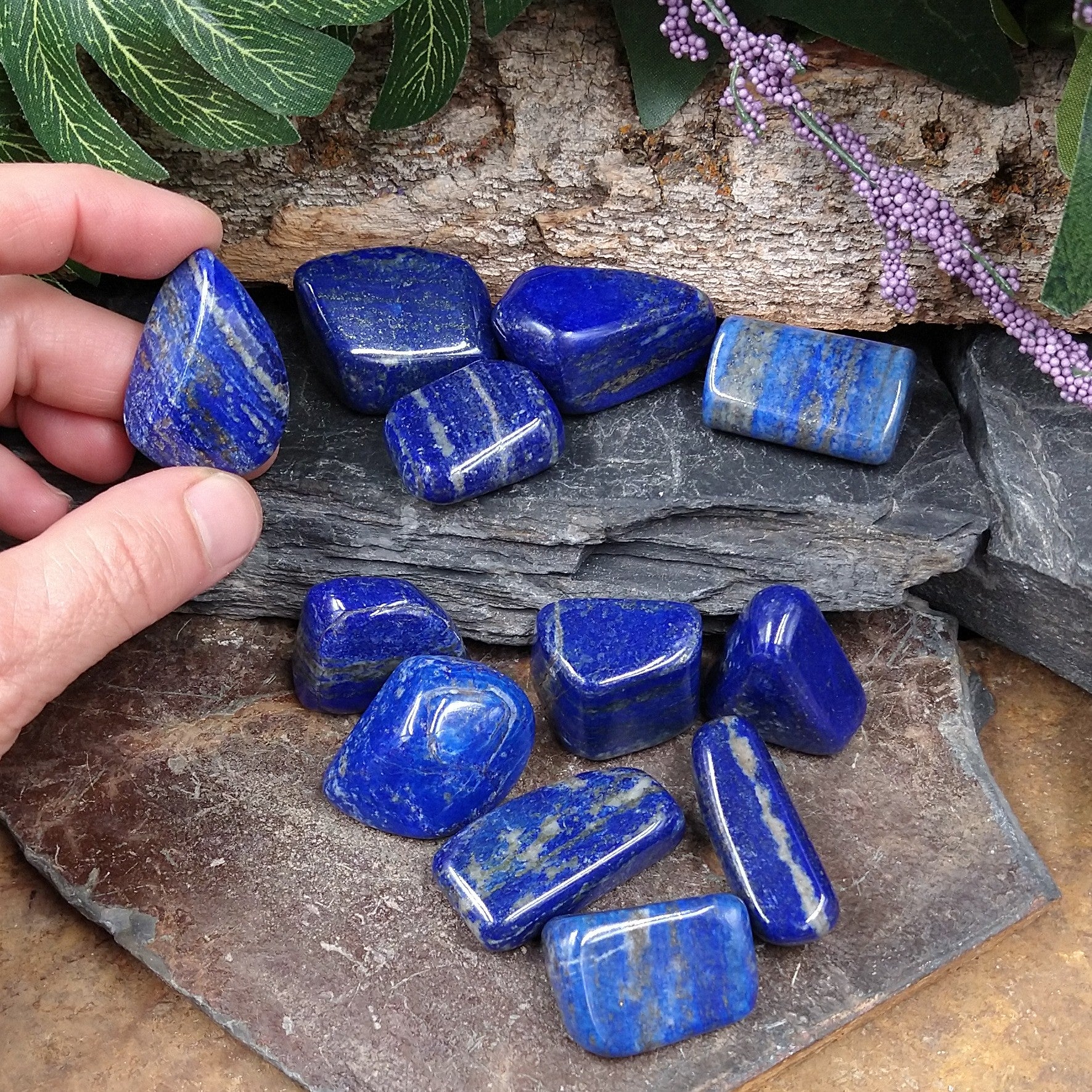 T-LAPL Tumbled Lapis, size large