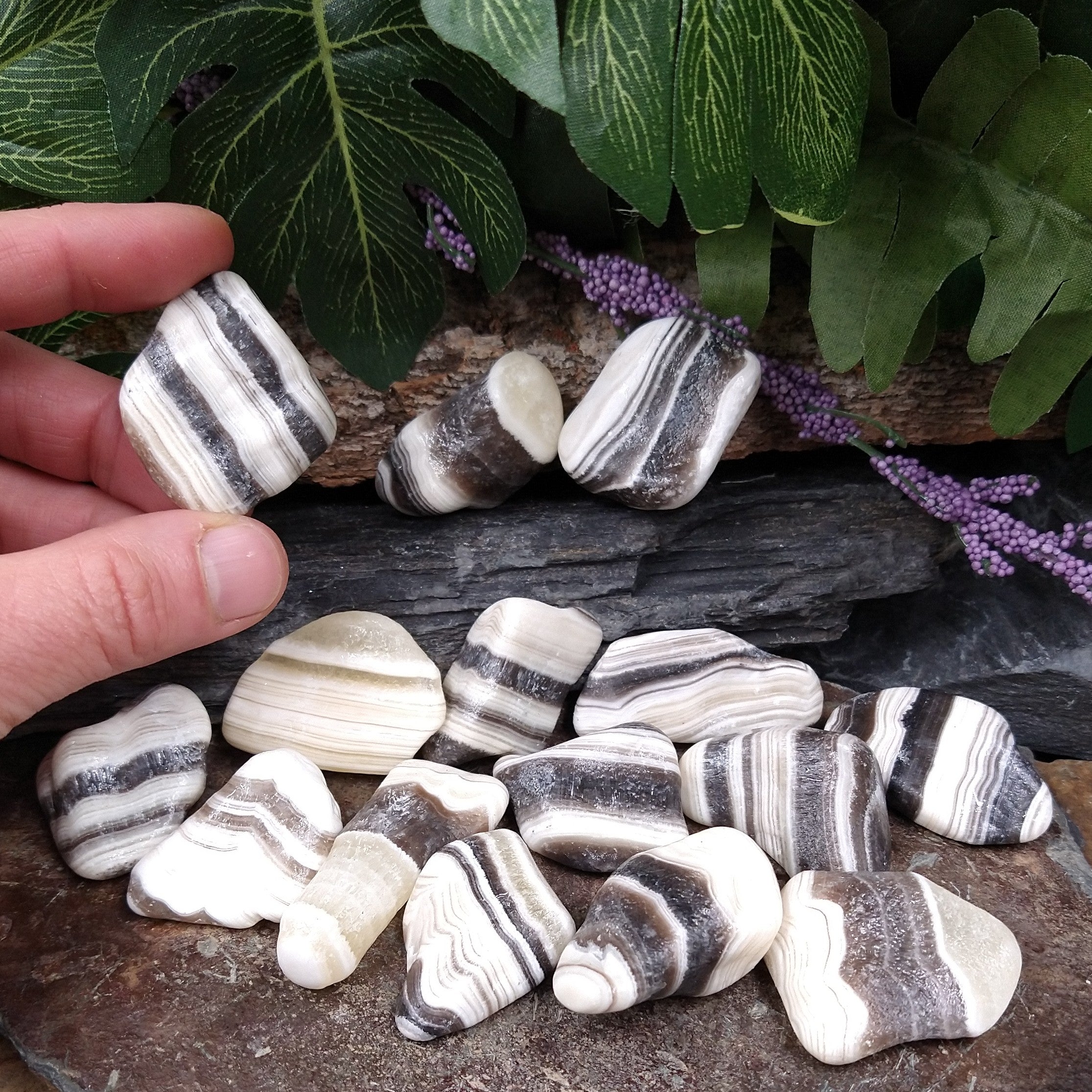 T-ZCAL Tumbled Zebra Calcite