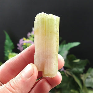 TC-602 Tourmaline