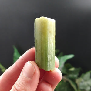 TC-607 Tourmaline