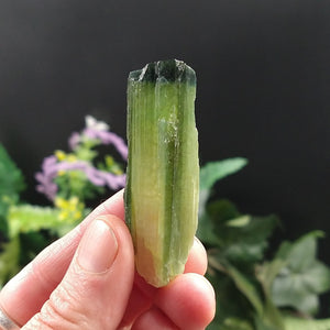 TC-612 Tourmaline