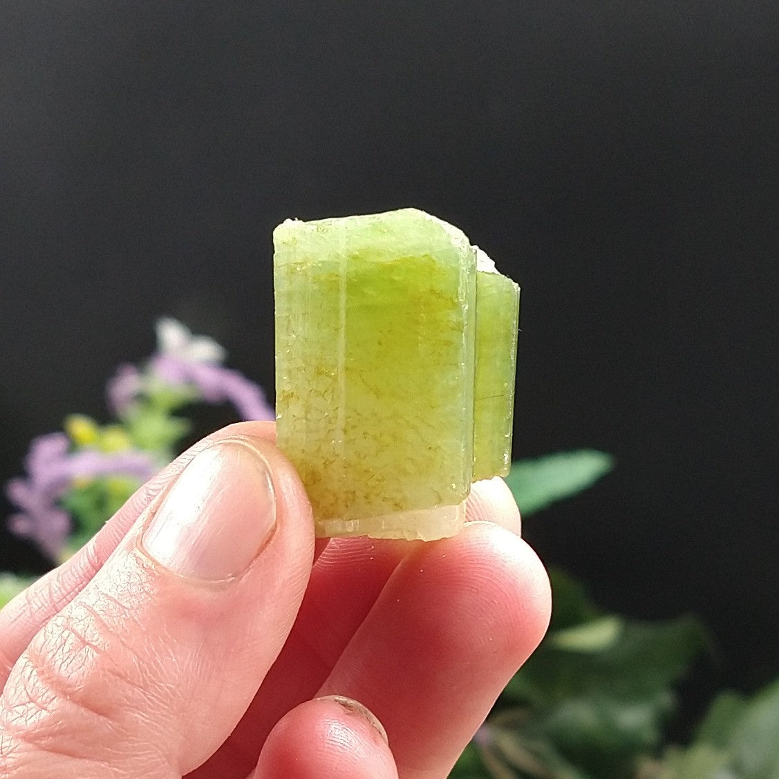 TC-615 Tourmaline