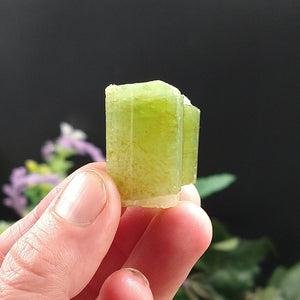 TC-615 Tourmaline