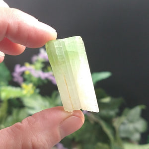 TC-621 Tourmaline