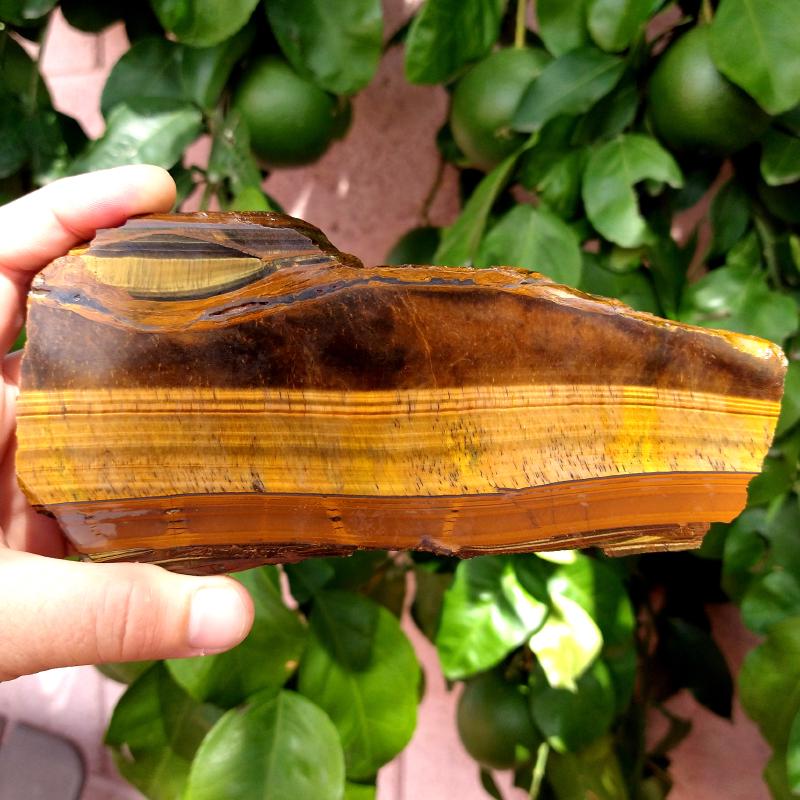 Tiger Eye Specimens